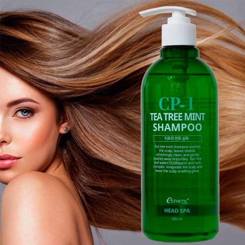 CP-1 Tea Tree Mint Shampoo 500 ml