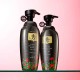 Daeng Gi Meo Ri Dlae Soo Hair Loss Care Shampoo