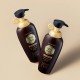 Daeng Gi Meo Ri New Gold Special Shampoo Daeng Gi Meo Ri New Gold Special Shampoo