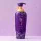 Daeng Gi Meo Ri Vitalizing Premium Shampoo v2