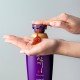 Daeng Gi Meo Ri Vitalizing Premium Shampoo v2