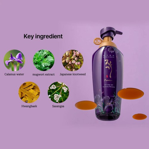 Daeng Gi Meo Ri Vitalizing Premium Shampoo v2