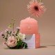 Dr. Melaxin Guerande Sea Salt Perfume Body Scrub Coral Rose Dr. Melaxin Guerande Sea Salt Perfume Body Scrub Coral Rose