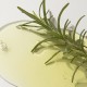 Kaine Rosemary AHA Night Serum 8.5ml