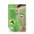 PUREDERM Real Petal MG Gel Mask - Green Tea