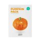 SKIN1004 ZOMBIE BEAUTY Pumpkin PACK 16x4g