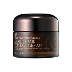 Mizon Snail Repair Perfect Cream