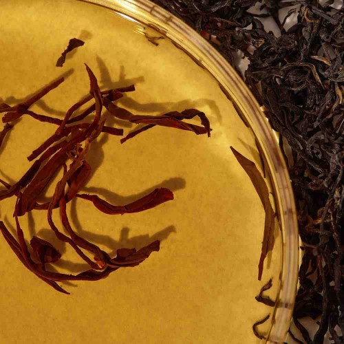 Kaine Kombu Barrier Ampoule