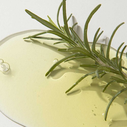 Kaine Rosemary AHA Night Serum