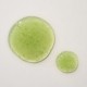 Kaine Rosemary Relief Gel Cleanser 30ml