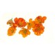 Farmstay Calendula Relief Emulsion