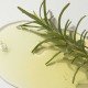 Kaine Rosemary AHA Night Serum