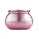 Bergamo Pure Snail Wrinkle Care Cream